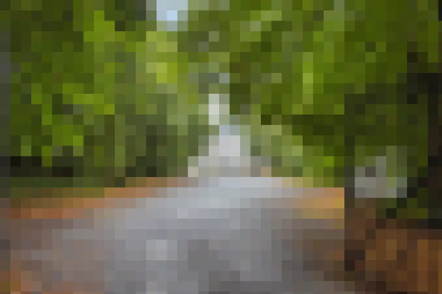 Kerkstraat 18 Loon op Zand thumbnail 38