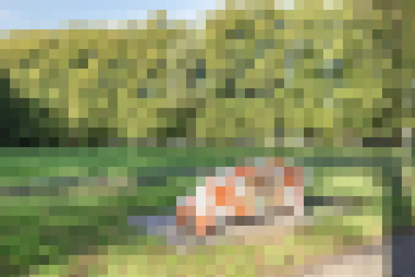 Kerkstraat 18 Loon op Zand thumbnail 38