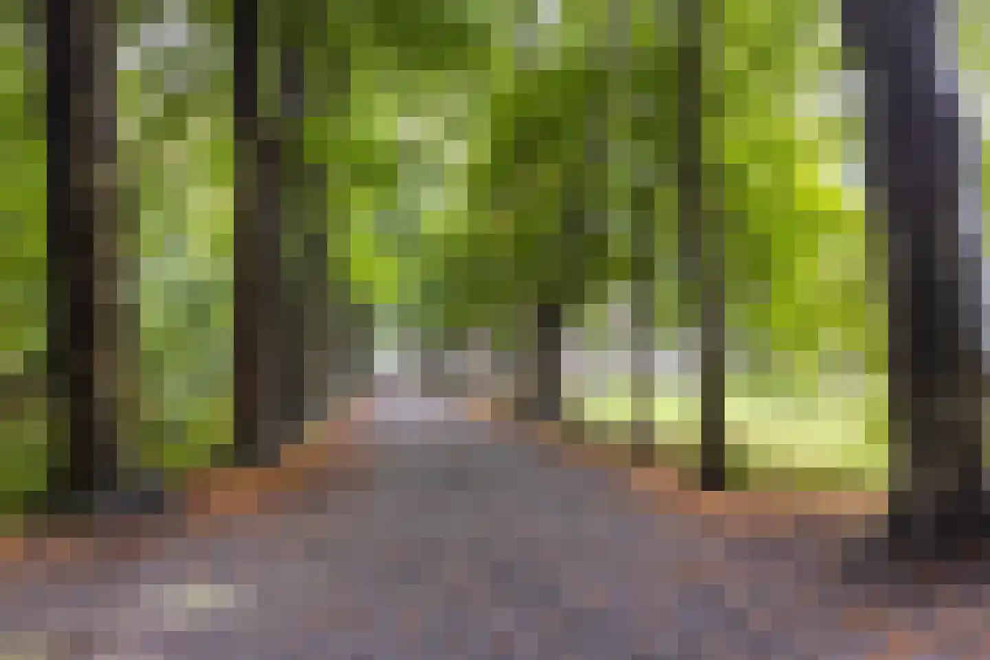 Kerkstraat 18 Loon op Zand thumbnail 39