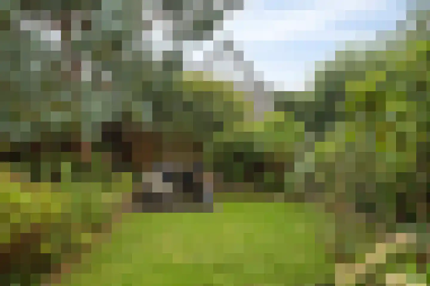 Kerkstraat 18 Loon op Zand thumbnail 5