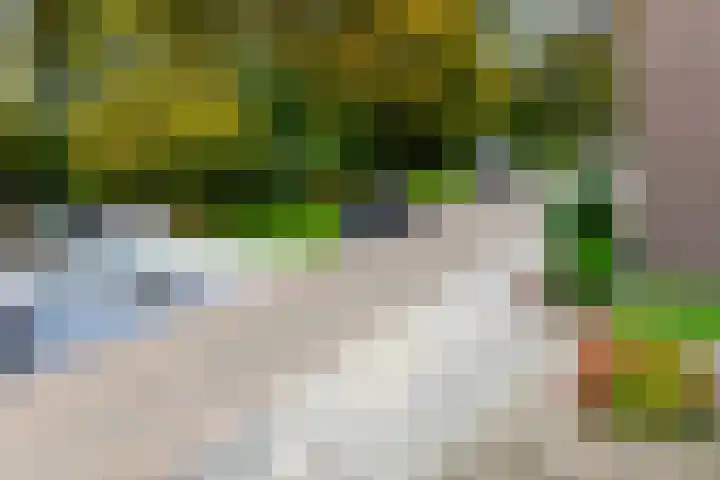 Kerkstraat 18 Luttelgeest thumbnail 32