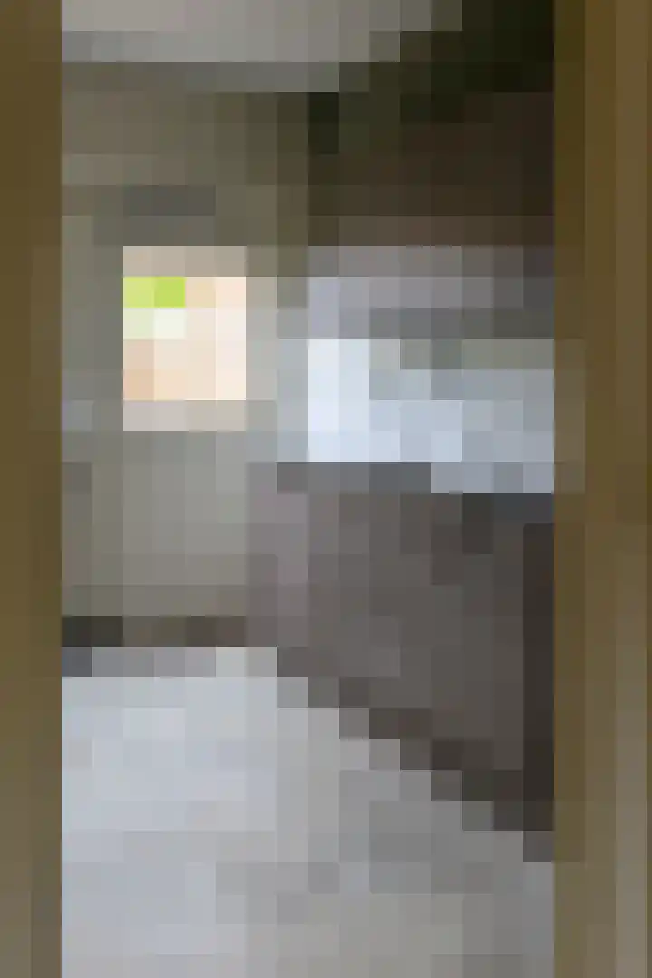 Kerkstraat 18 Luttelgeest thumbnail 7