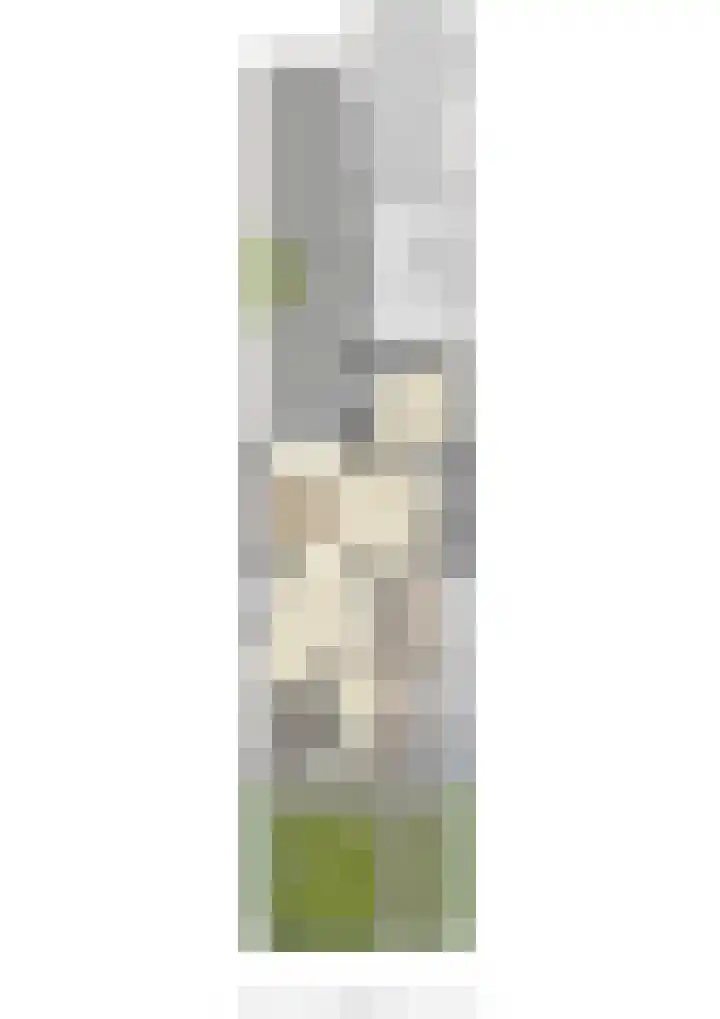 Kerkstraat 18 Ochten thumbnail 69