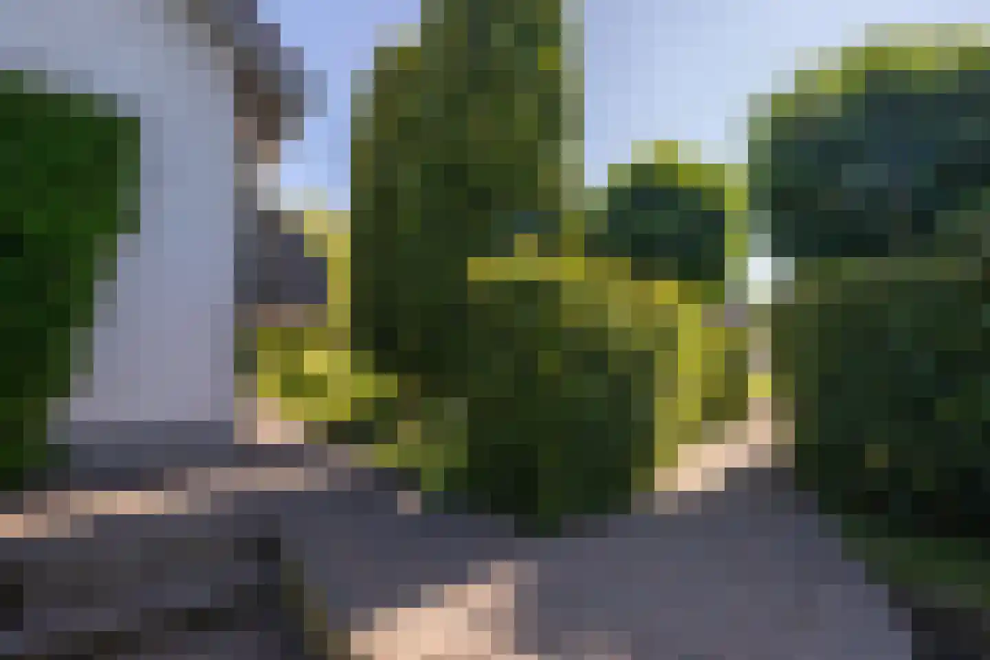 Kerkstraat 18 Ommeren thumbnail 15