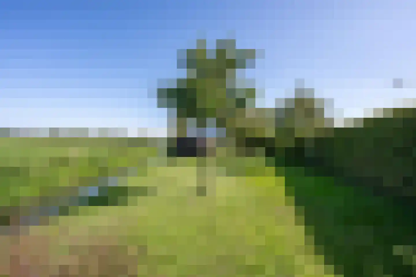 Kerkstraat 18 Ommeren thumbnail 30