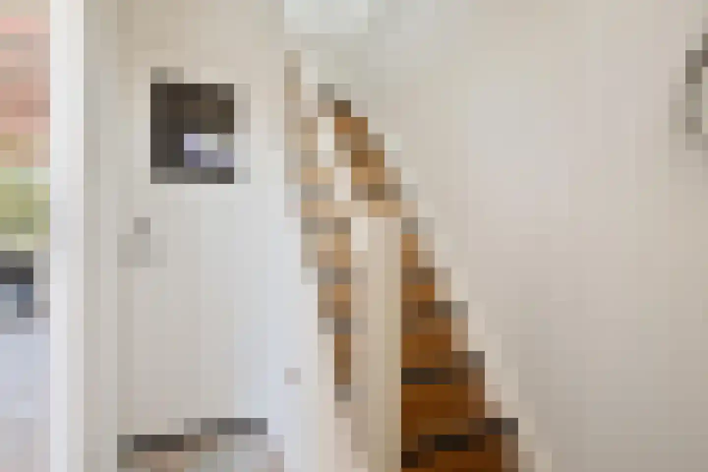 Kerkstraat 18 Oostzaan thumbnail 32