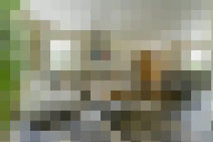 Kerkstraat 18 Rucphen thumbnail 10