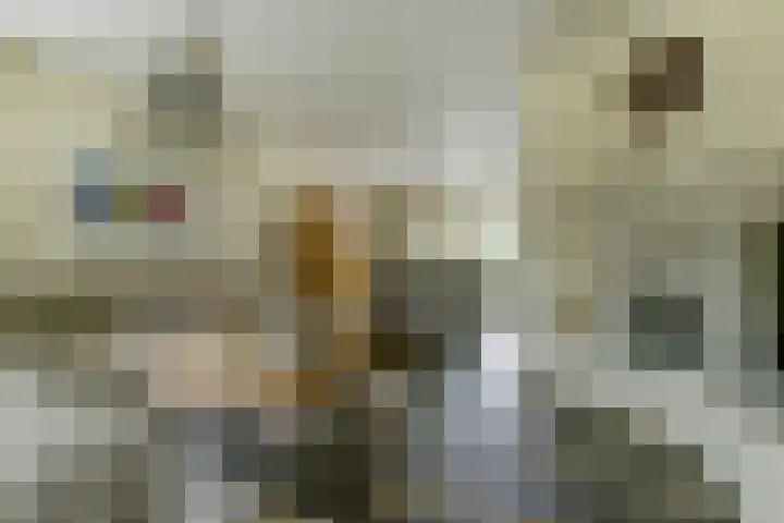 Kerkstraat 18 Rucphen thumbnail 11