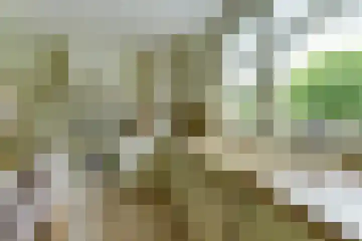 Kerkstraat 18 Rucphen thumbnail 15