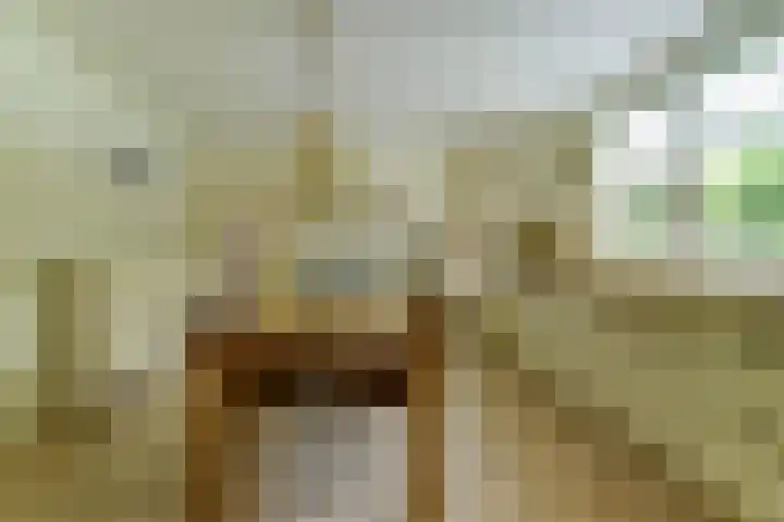 Kerkstraat 18 Rucphen thumbnail 18