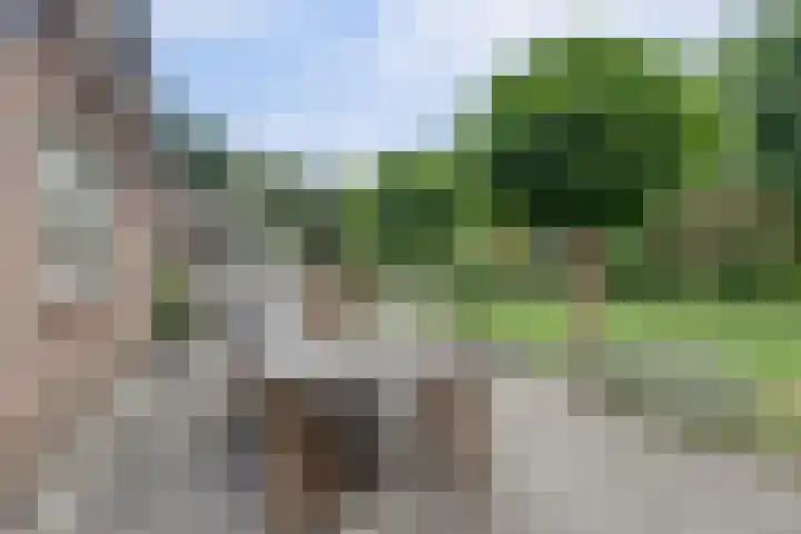 Kerkstraat 18 Rucphen thumbnail 35