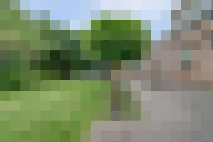 Kerkstraat 18 Rucphen thumbnail 37