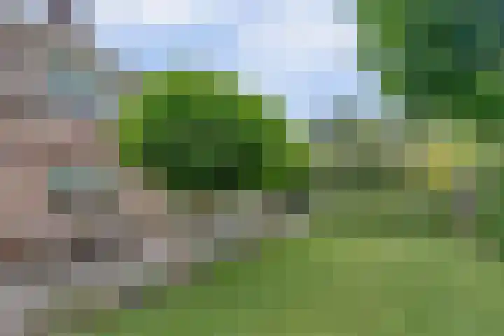 Kerkstraat 18 Rucphen thumbnail 39