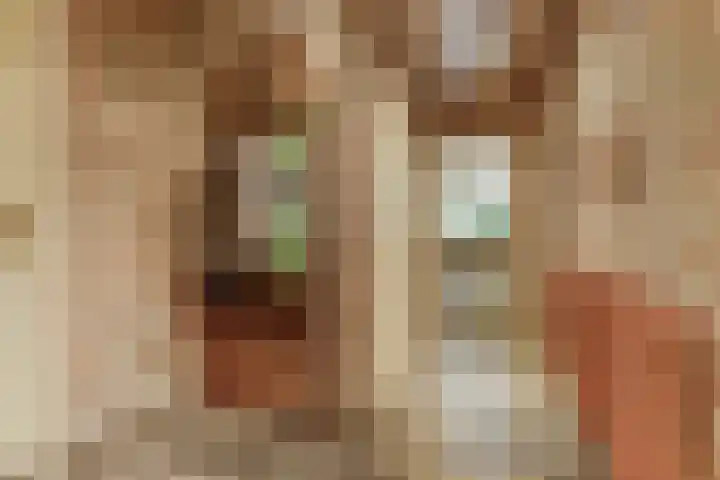 Kerkstraat 18 Rucphen thumbnail 5