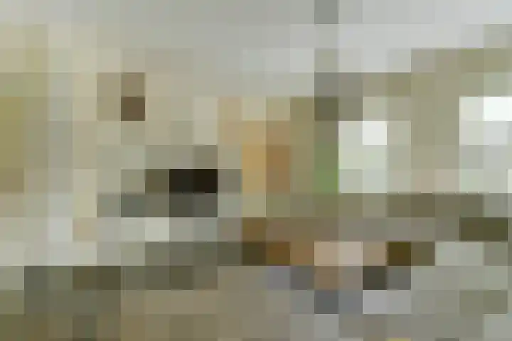 Kerkstraat 18 Rucphen thumbnail 6