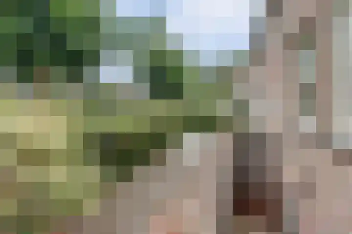 Kerkstraat 18 Rucphen thumbnail 7