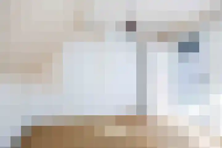 Kerkstraat 18 Sauwerd thumbnail 28