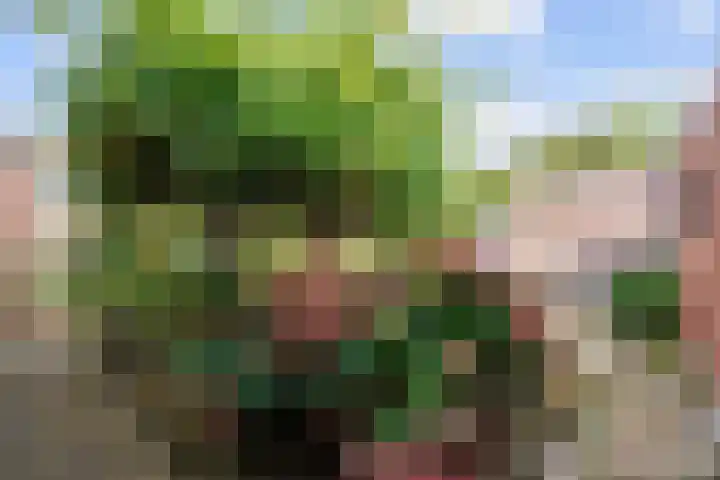 Kerkstraat 18 Sauwerd thumbnail 35