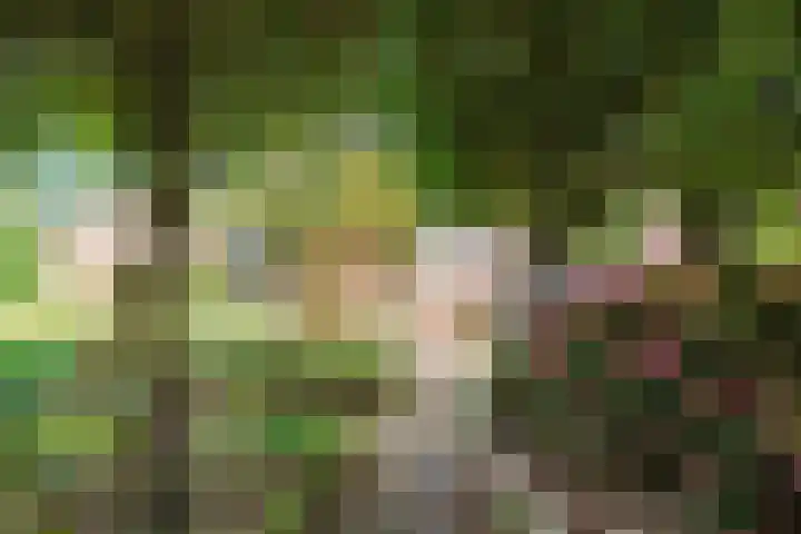 Kerkstraat 18 Sauwerd thumbnail 36