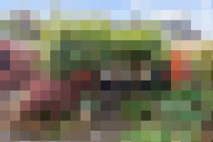 Kerkstraat 18 Sauwerd thumbnail 38
