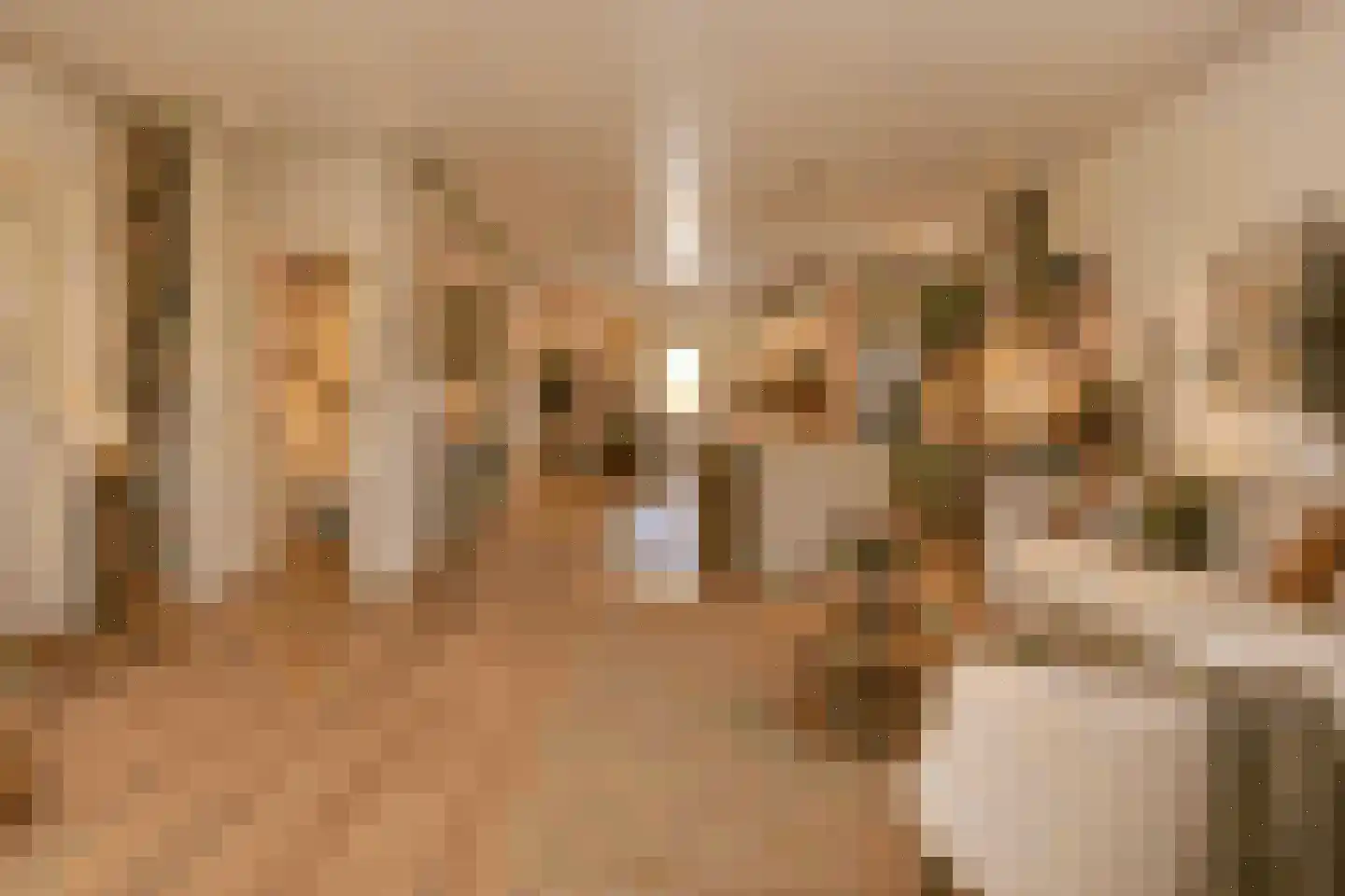Kerkstraat 18 Sprang-Capelle thumbnail 6