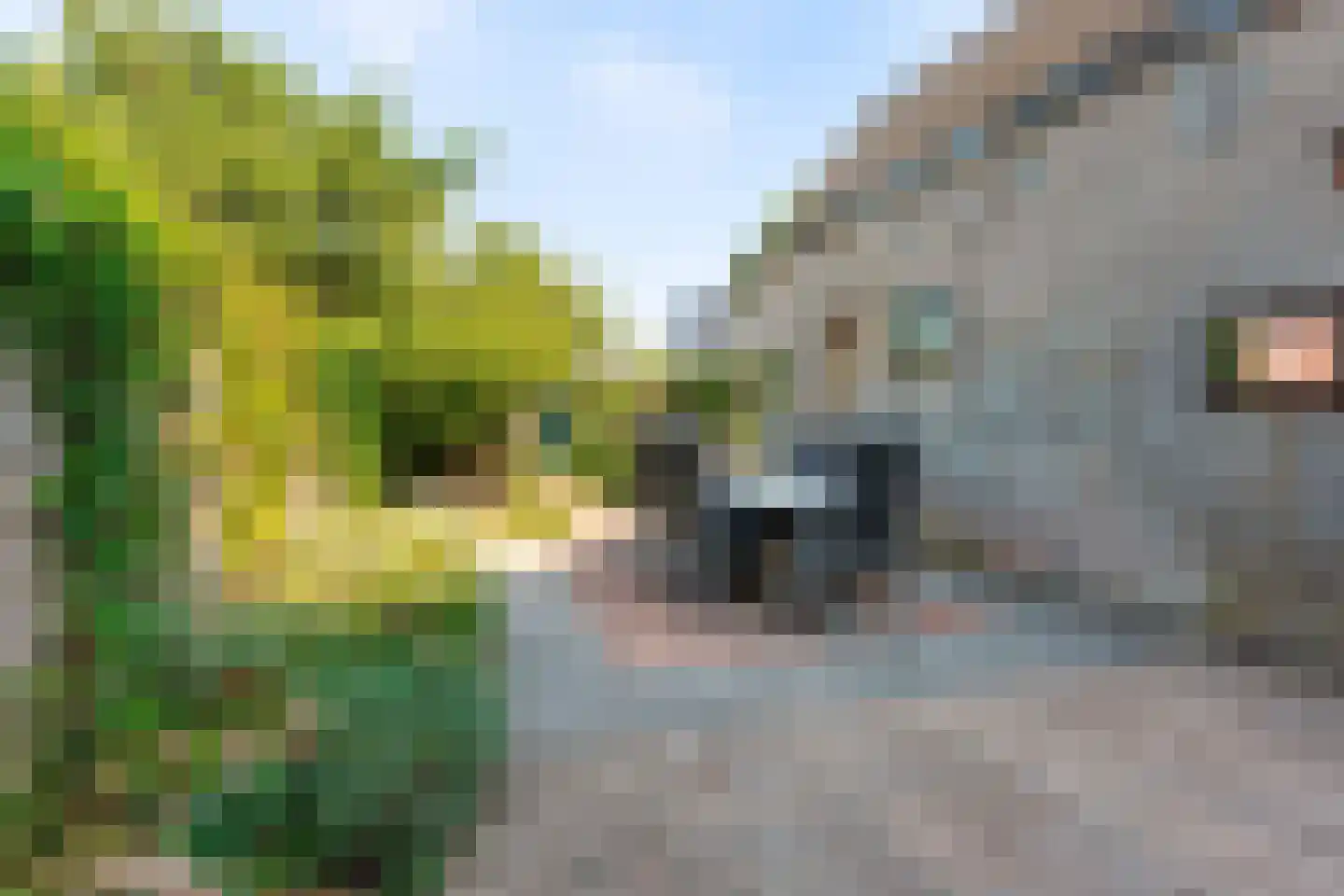 Kerkstraat 18 Vught thumbnail 39