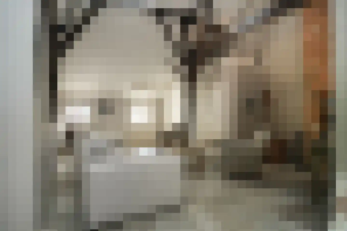 Kerkstraat 18 Wamel thumbnail 22
