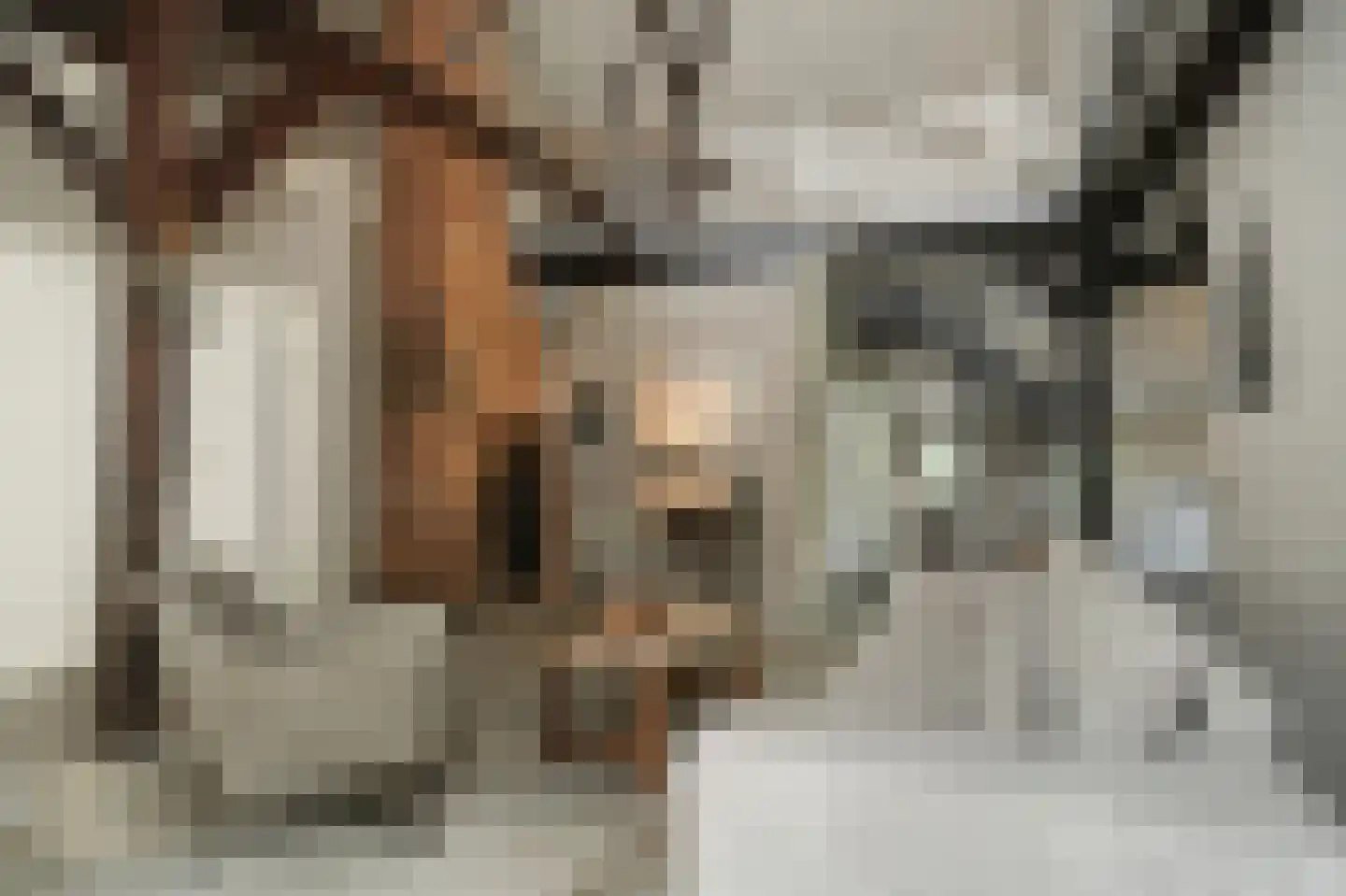 Kerkstraat 18 Wamel thumbnail 26