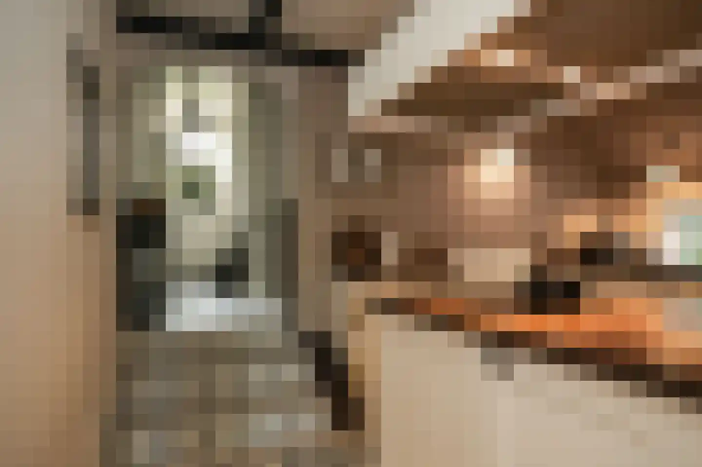 Kerkstraat 18 Wamel thumbnail 37