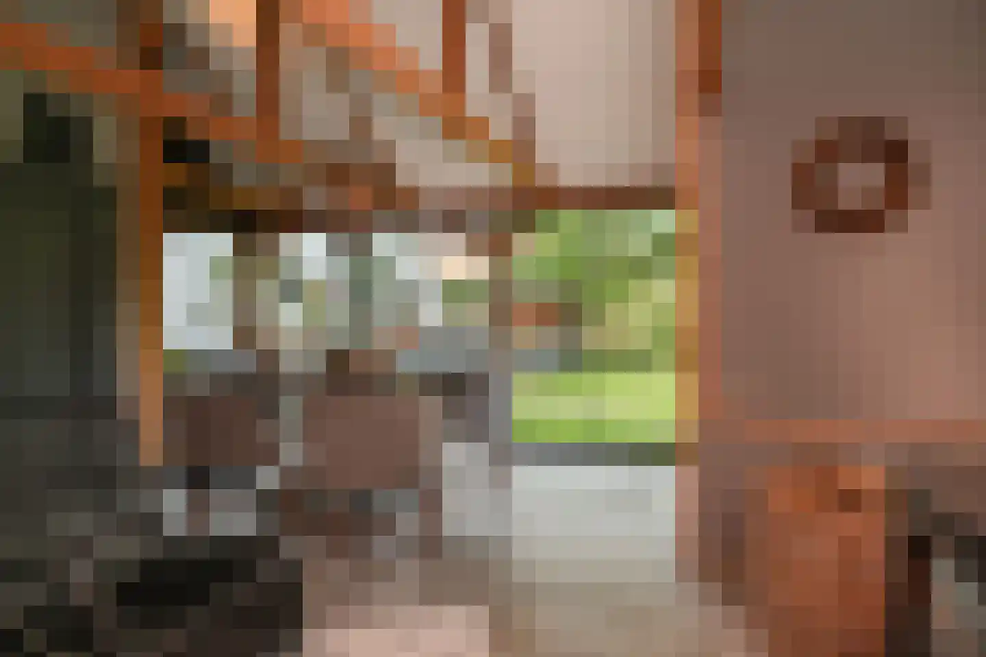 Kerkstraat 18 Wamel thumbnail 71