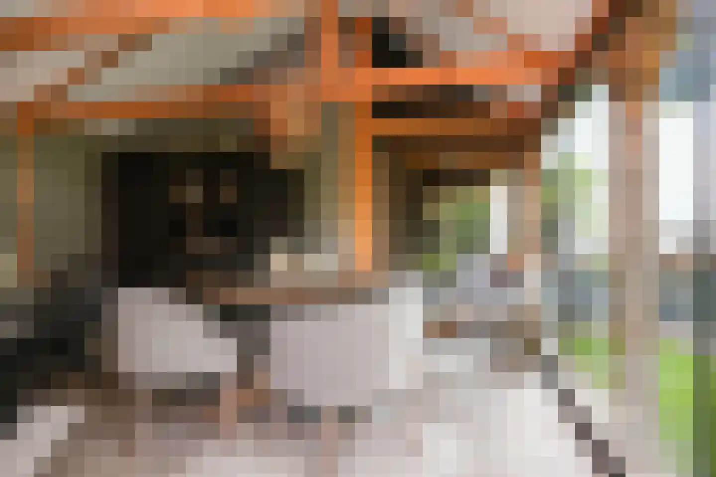 Kerkstraat 18 Wamel thumbnail 72