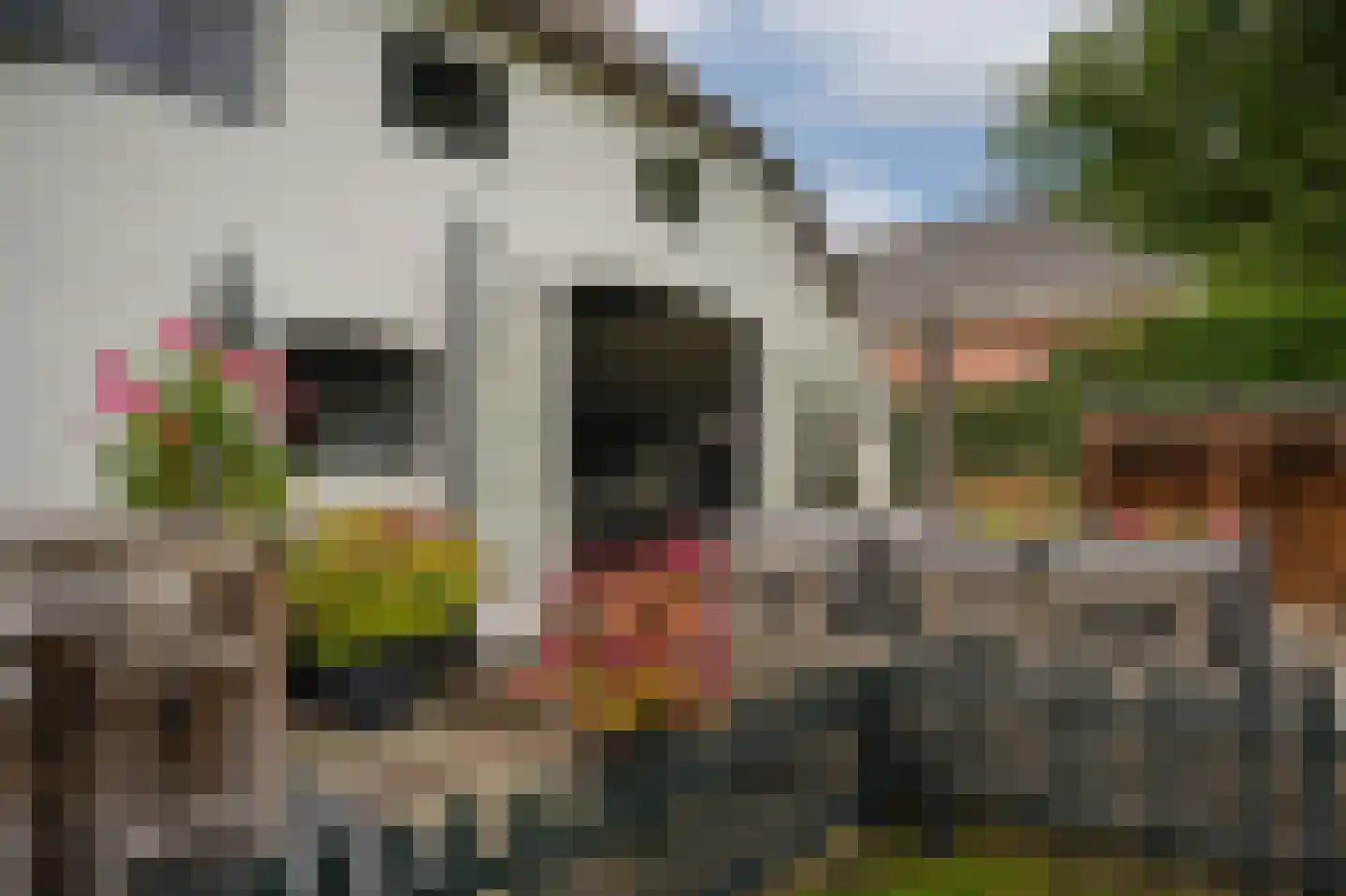Kerkstraat 18 Wamel thumbnail 77
