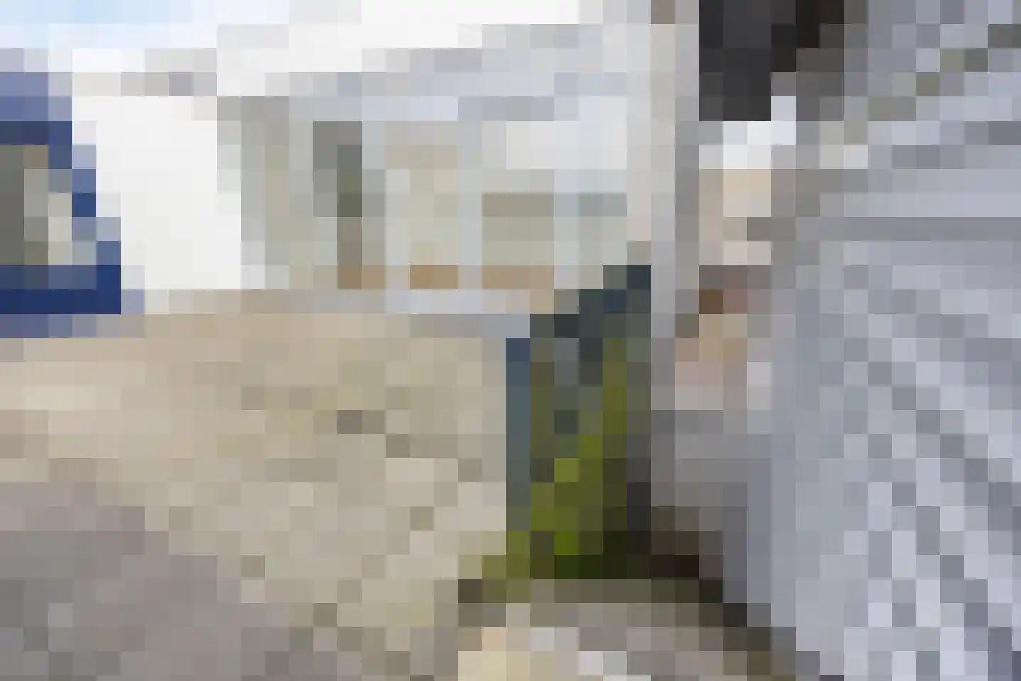 Kerkstraat 18 Zeewolde thumbnail 22