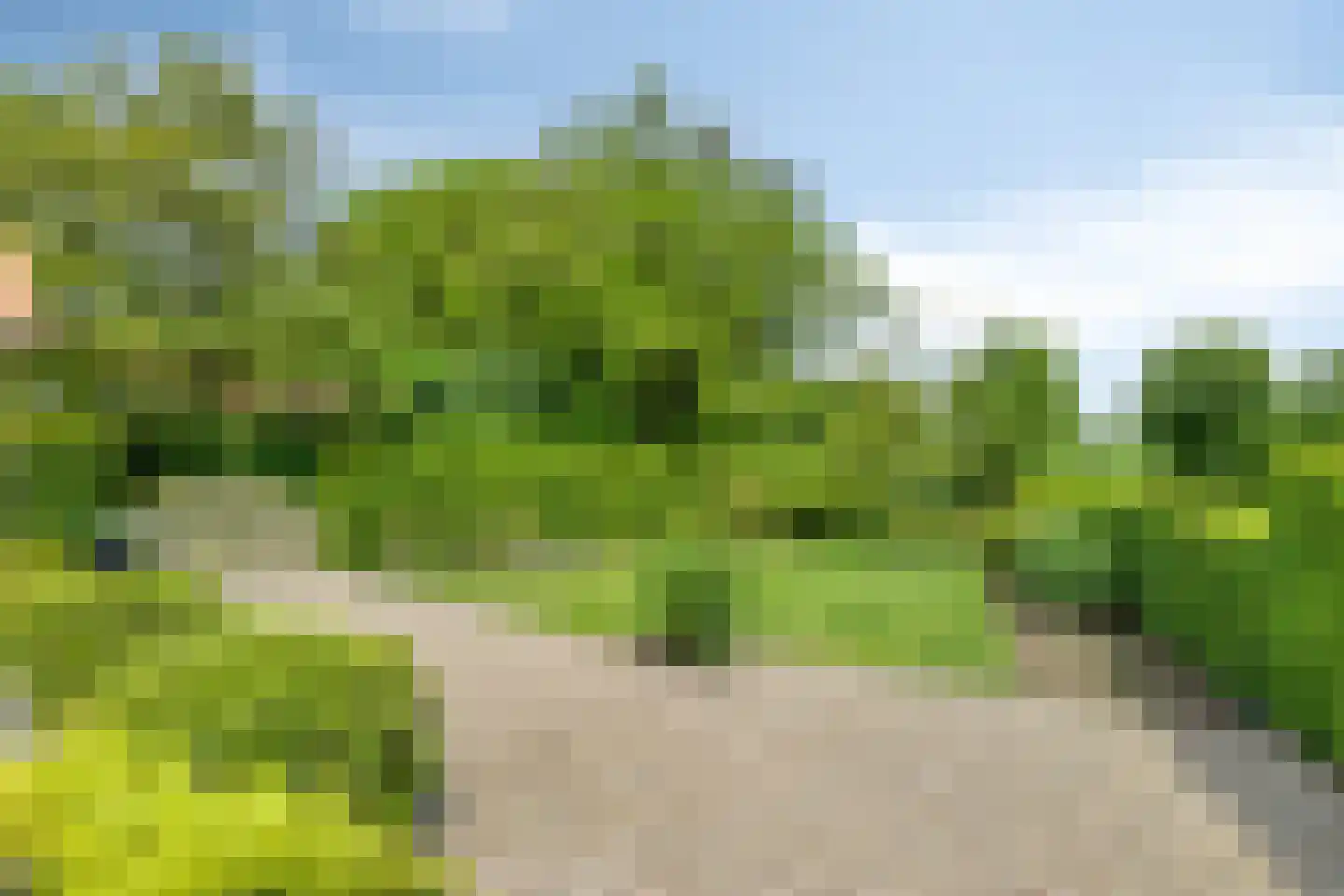 Kerkstraat 185 Gaanderen thumbnail 28