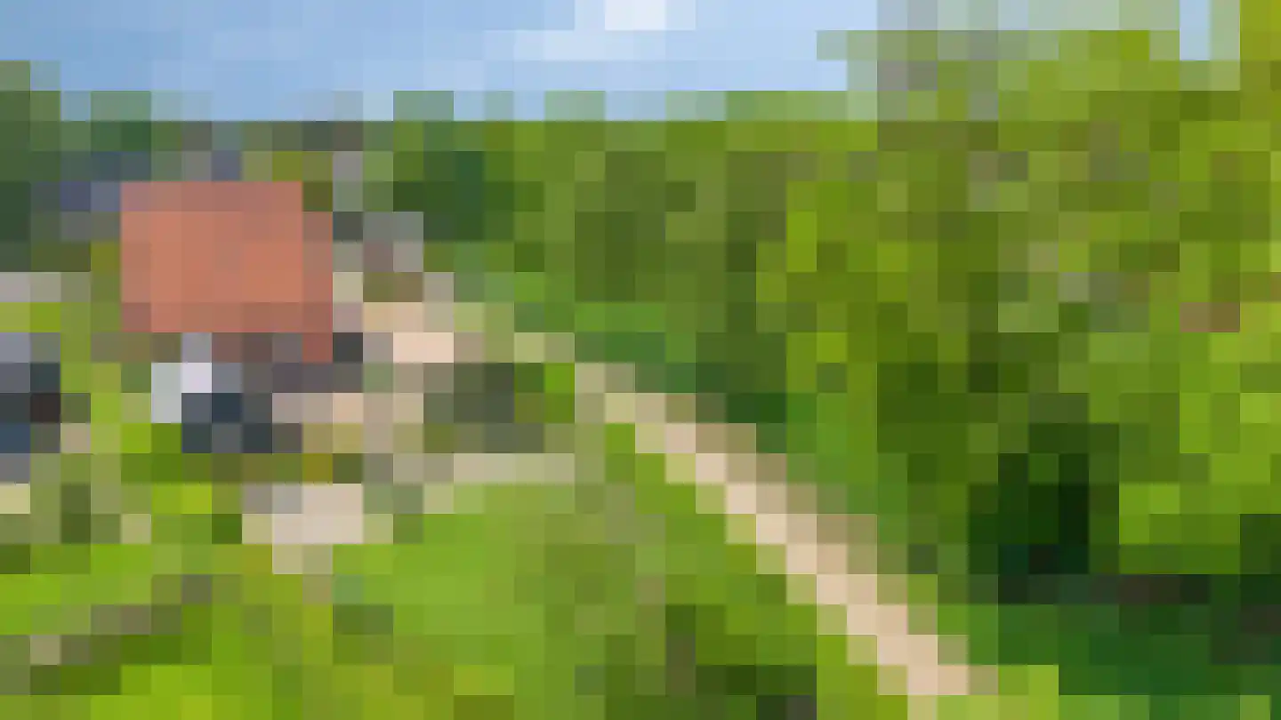Kerkstraat 185 Gaanderen thumbnail 32