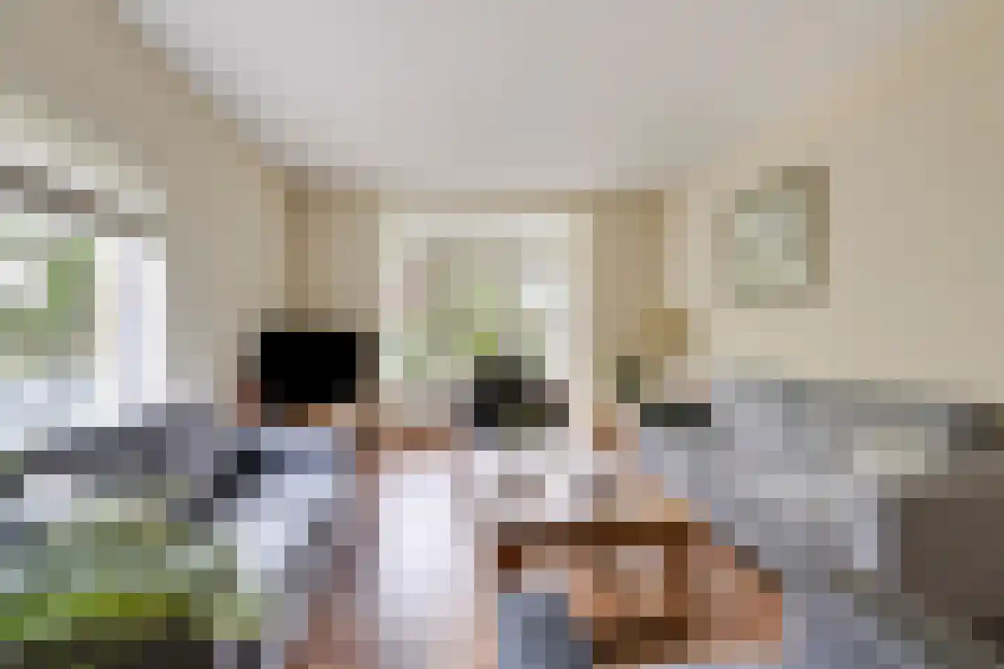 Kerkstraat 185 Gaanderen thumbnail 9