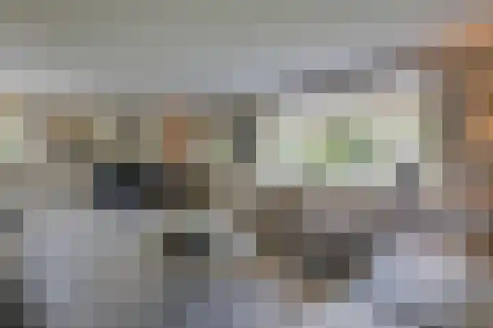 Kerkstraat 187 Gaanderen thumbnail 13