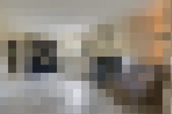 Kerkstraat 187 Gaanderen thumbnail 15