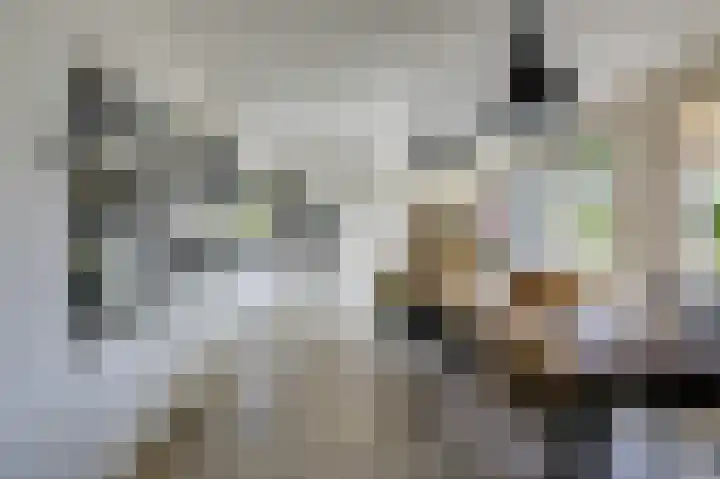 Kerkstraat 187 Gaanderen thumbnail 19