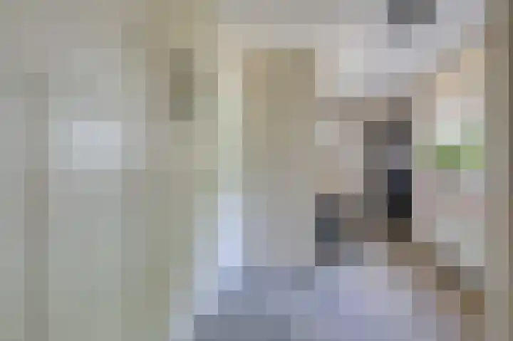 Kerkstraat 187 Gaanderen thumbnail 25