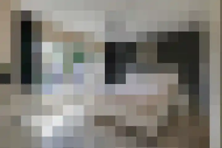 Kerkstraat 187 Gaanderen thumbnail 27