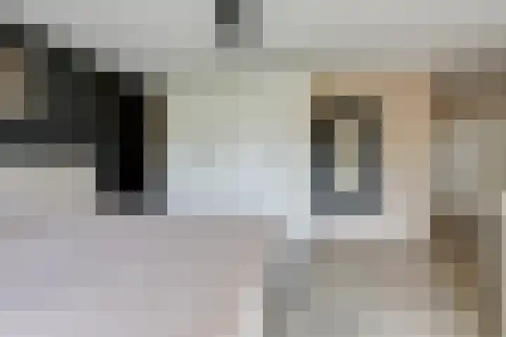 Kerkstraat 187 Gaanderen thumbnail 29