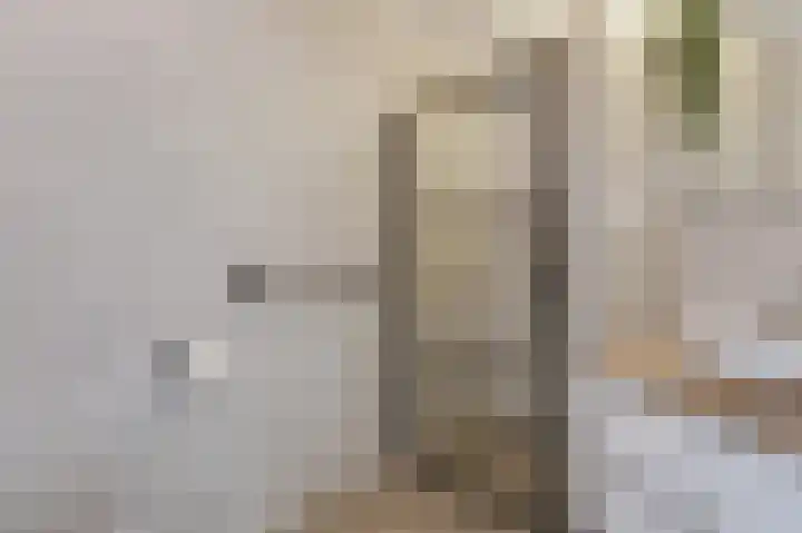 Kerkstraat 187 Gaanderen thumbnail 32