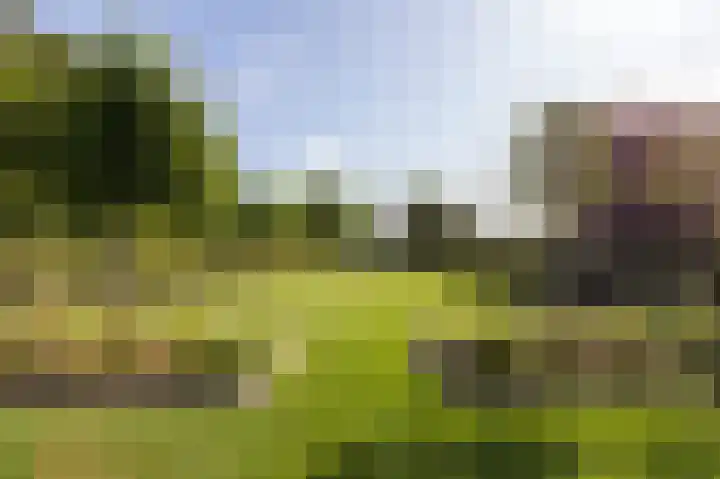 Kerkstraat 187 Gaanderen thumbnail 46