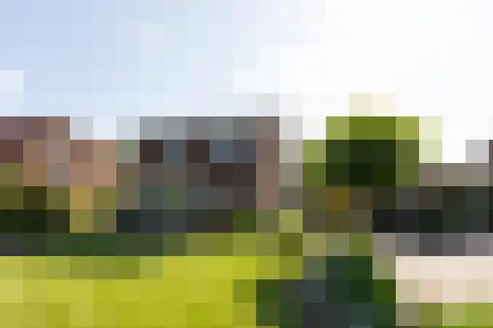 Kerkstraat 187 Gaanderen thumbnail 62