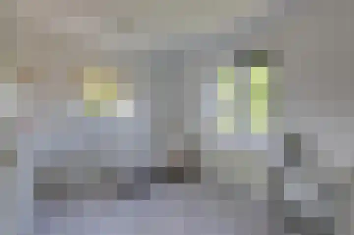 Kerkstraat 187 Gaanderen thumbnail 73