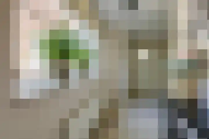 Kerkstraat 187 Gaanderen thumbnail 9