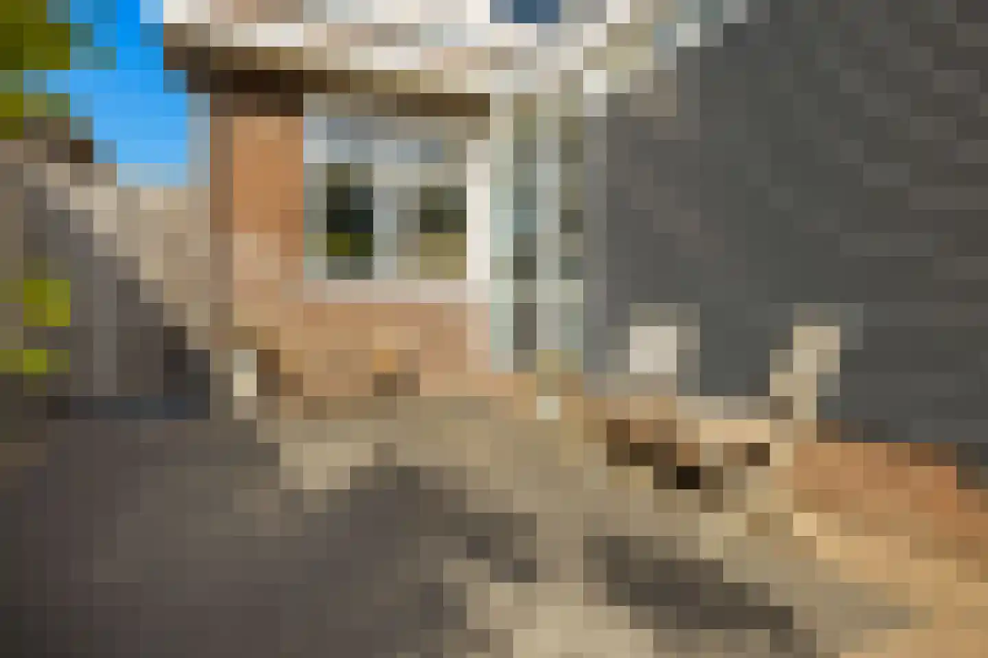 Kerkstraat 189 a Oostzaan thumbnail 48
