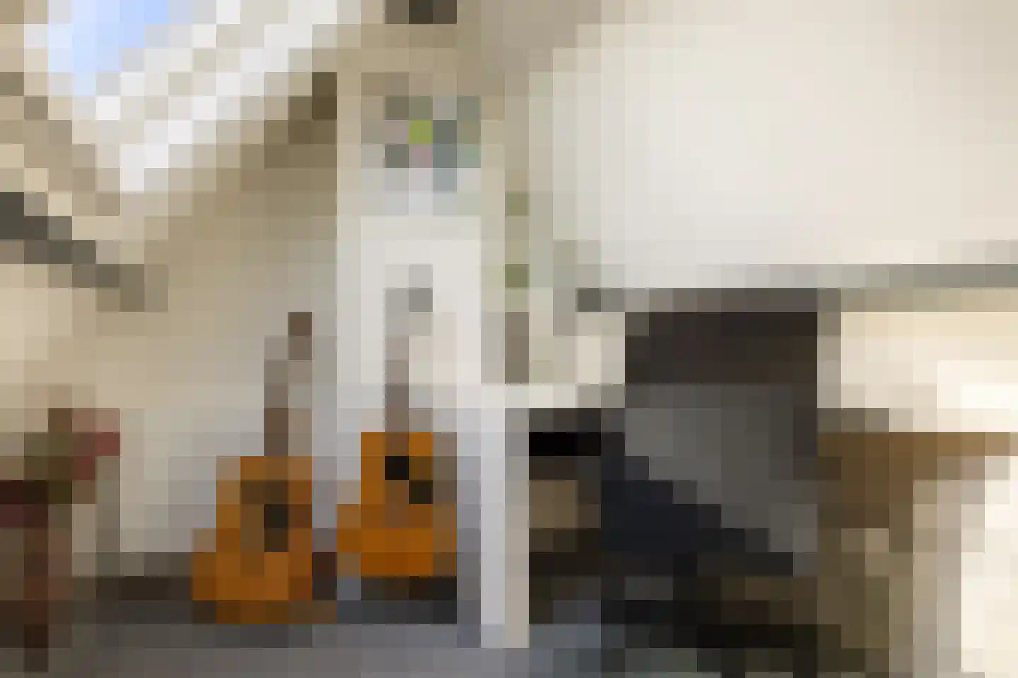 Kerkstraat 189 a Oostzaan thumbnail 66