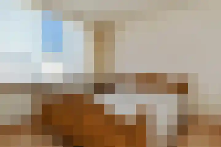 Kerkstraat 19 Baexem thumbnail 11